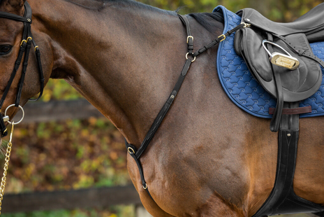 Dy'on Bridge Breastplate