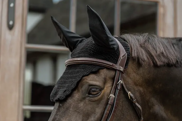 Kentucky Fly Veil Wellington Wave