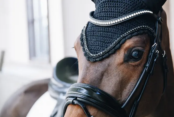 Kentucky Fly Veil Long Stone & Pearl