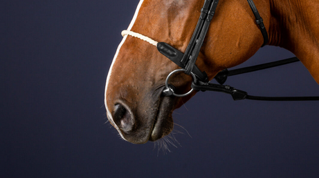 Dy'on Rope Noseband