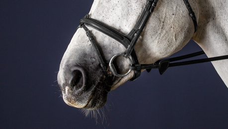 Dy'on Flash Noseband