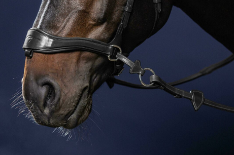 Dy'on D Motion Noseband + Cross Pull Strap