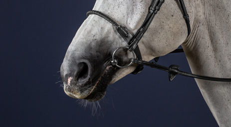 Dy'on Leather Covered Rope Noseband