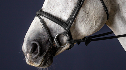 Dy'on Flash Nose Strap 3/8