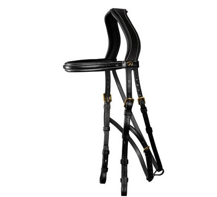 Dy'on Hackamore bridle