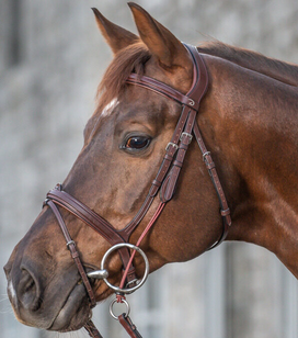 Dy'on Gag Cheekpieces