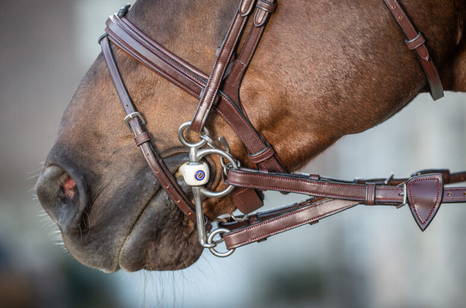 Dy'on 1/2 Converter Rubber Reins With 7 Leather Loops