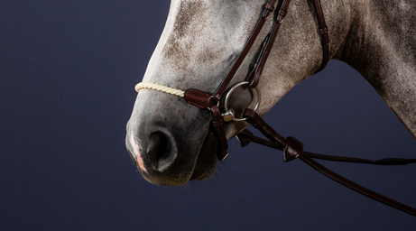 Dy'on Rope Crank Drop Noseband