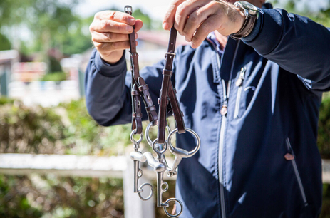 Dy'on Double Bridle Cheekpieces