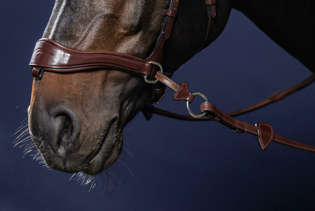 Dy'on D Motion Noseband + Cross Pull Strap