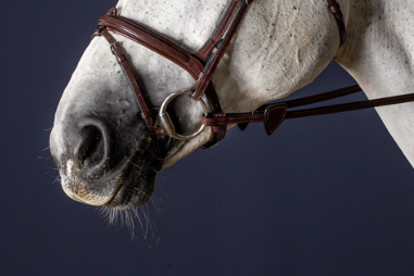 Dy'on Flash Nose Strap 3/8