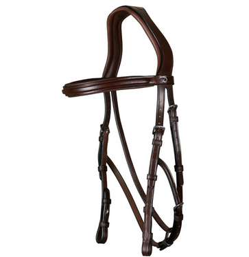 Dy'on Hackamore bridle