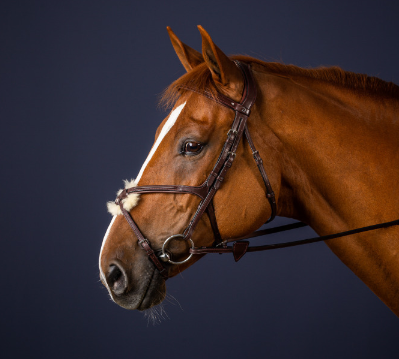 Dy'on Fig 8 Noseband bridle