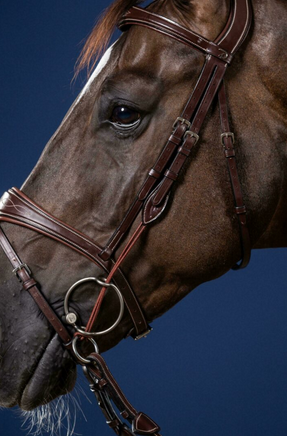 Dy'on Gag Cheekpieces