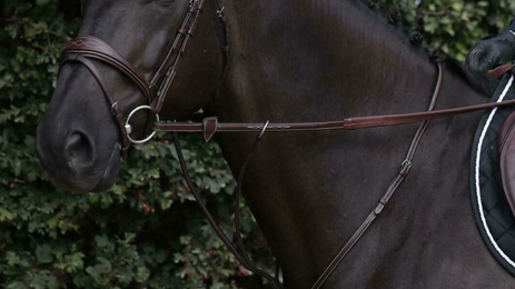 Dy'on 1/2 Rubber Reins With 7 Leather Loops