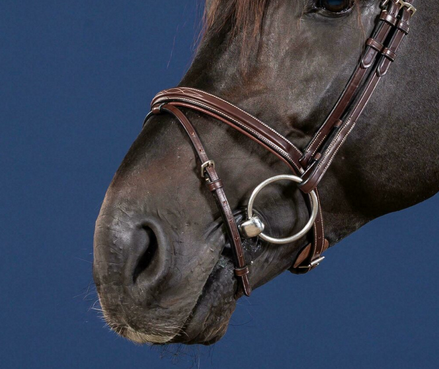 Dy'on Flash Nose Strap 3/8