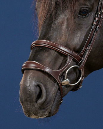 Dy'on Double Noseband