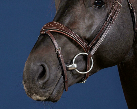 Dy'on Anatomic Flash Noseband