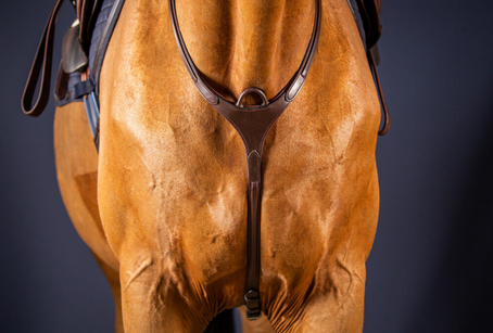 Dy'on Bridge Breastplate