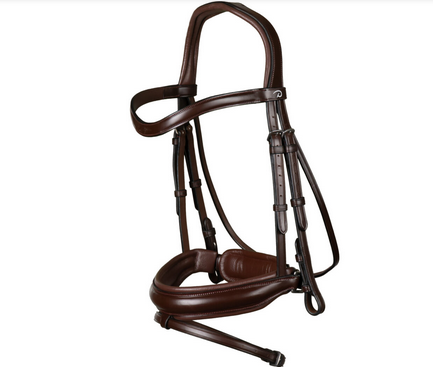 Dy'on Matte Medium Crank Noseband Bridle With Flash