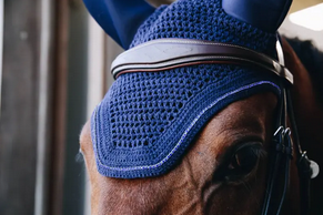 Kentucky Fly Veil Wellington Sparkling