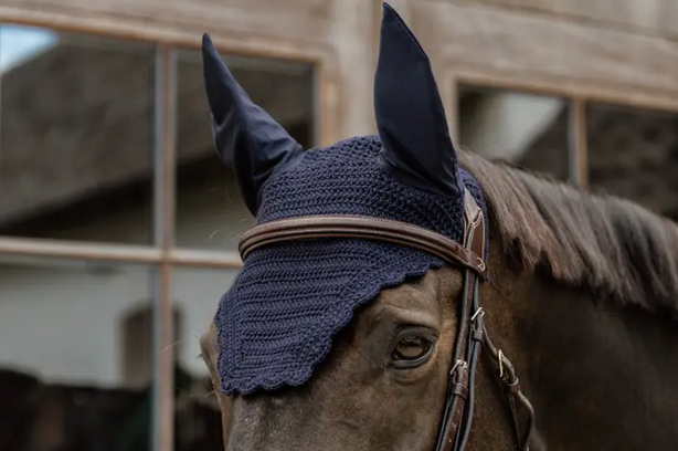 Kentucky Fly Veil Wellington Wave