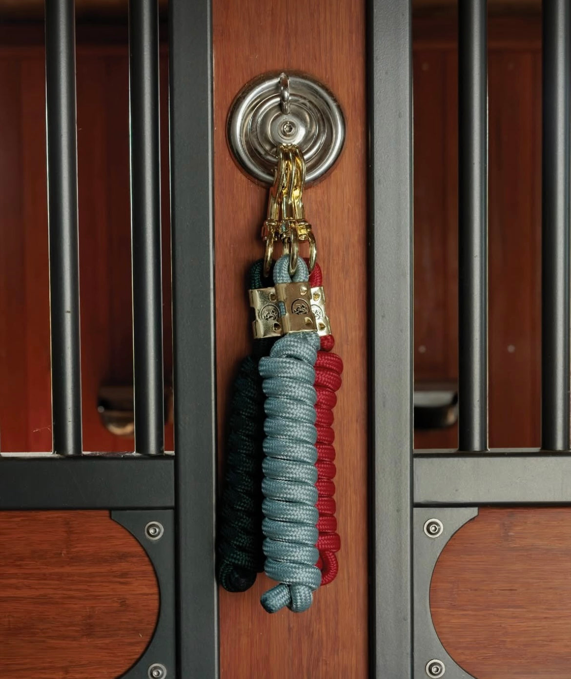 Kentucky Lead Rope Basic 2m