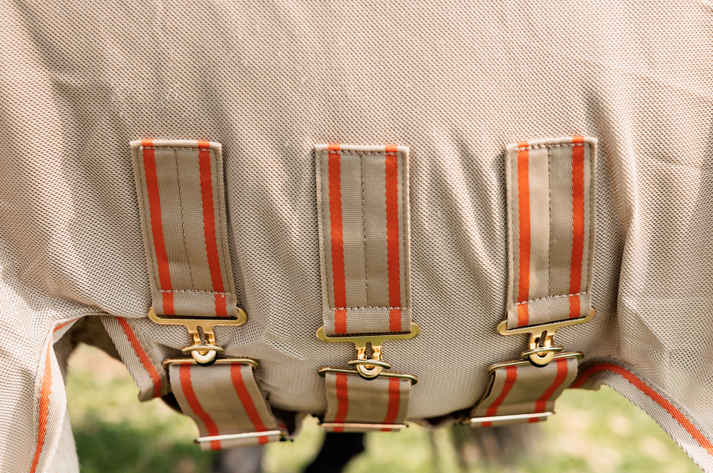 Kentucky Fly Rug Comfort