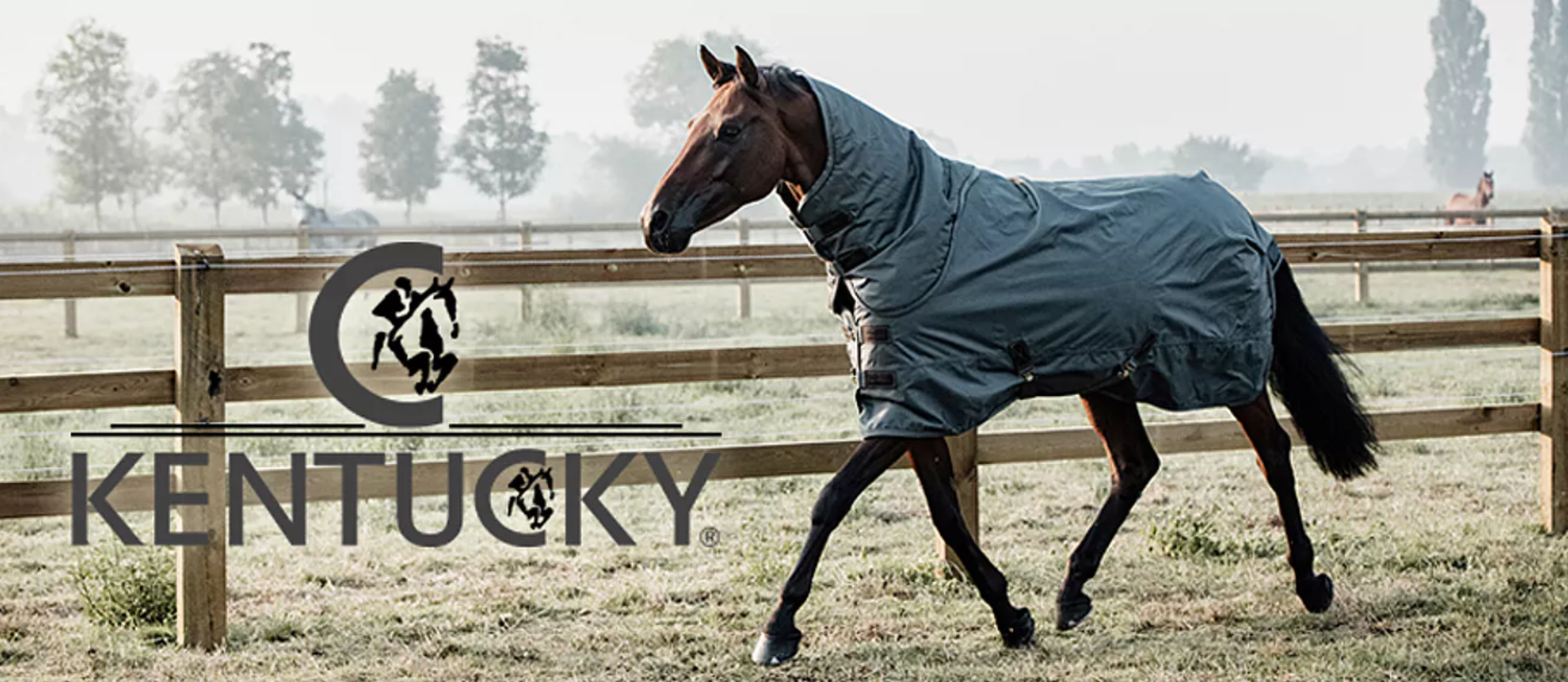 turnout rug