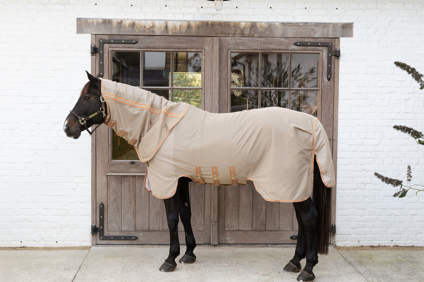 Kentucky Mesh Fly Rug Comfort