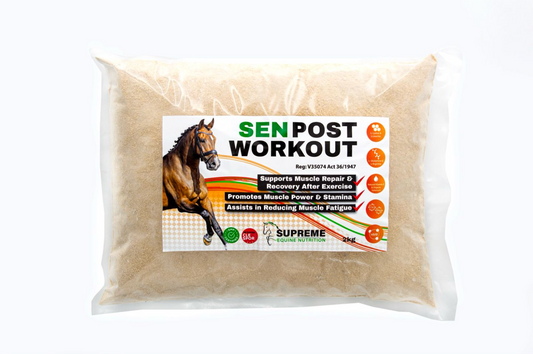 SEN post workout horse supplement refill