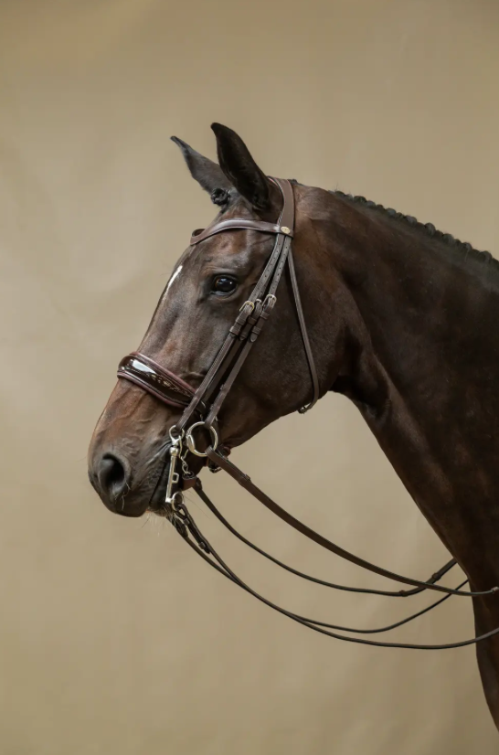 Dy'on Double Bridle Patent Large Crank Noseband Flat Leather