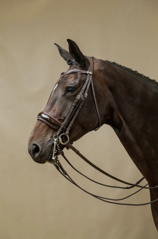 Dy'on Double Bridle Patent Large Crank Noseband Flat Leather