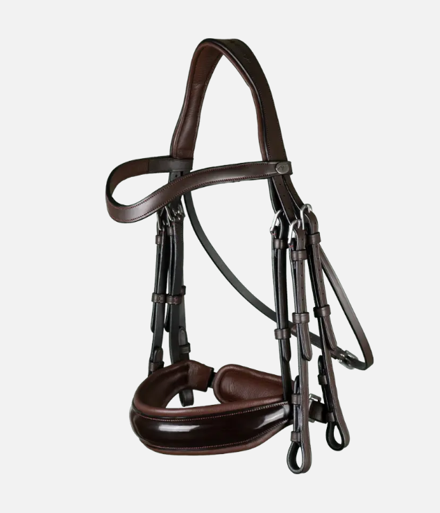 Dy'on Double Bridle Patent Large Crank Noseband Flat Leather