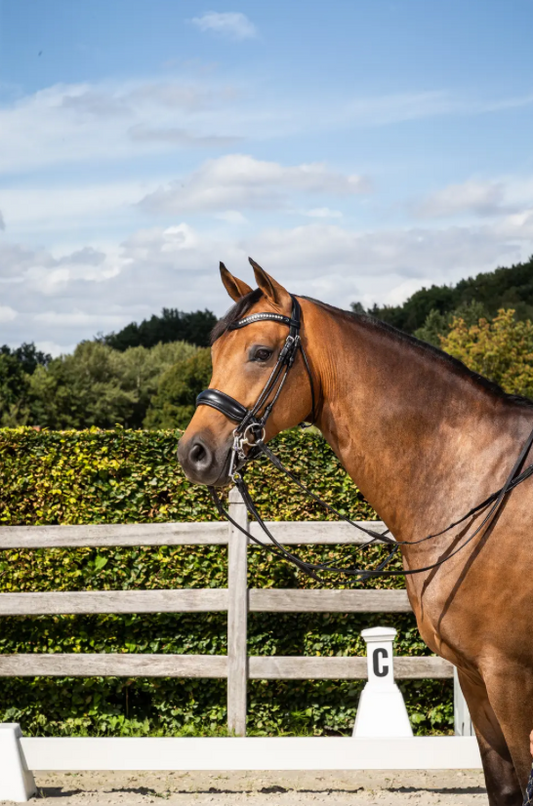 Dy'on Double Bridle Matte Large Crank Noseband Round Leather