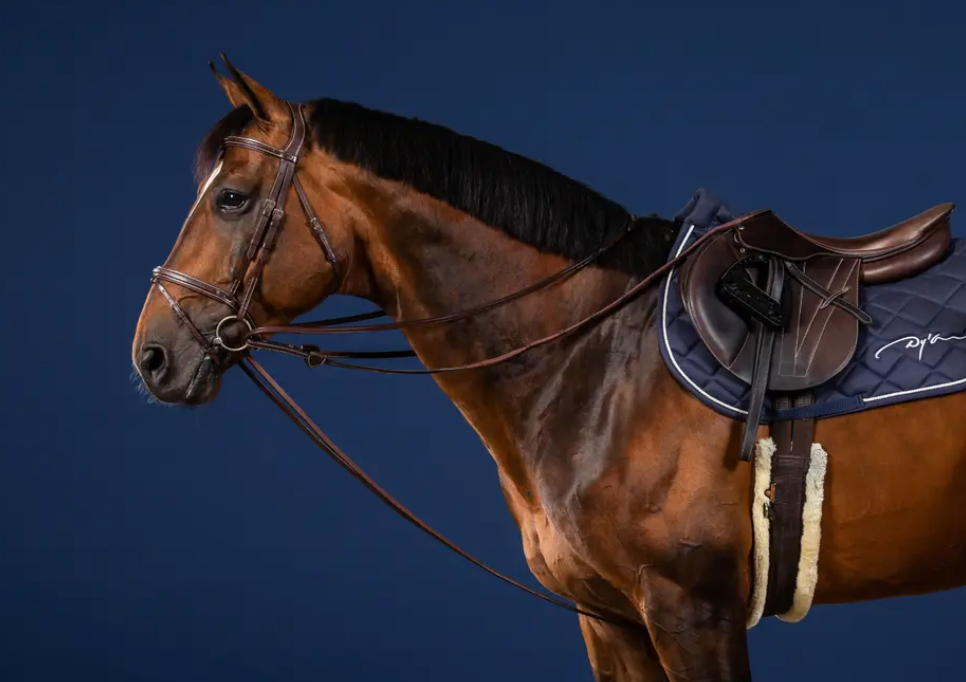 Dy'on Full Leather Draw Reins 1/2"