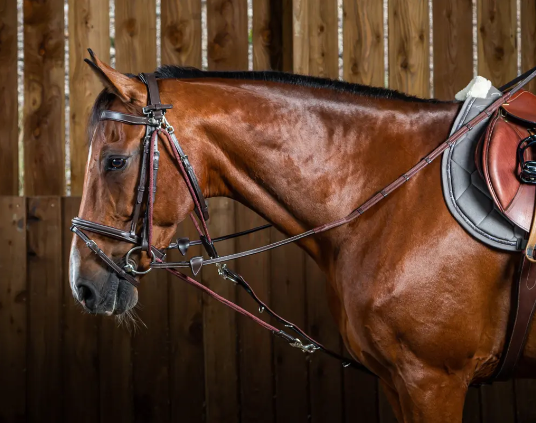 Dy'on De Gouge Nylon Ropes