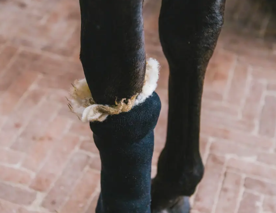 Kentucky Therapeutic wool 150g