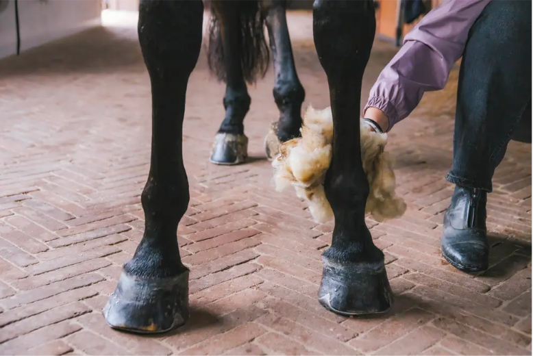 Kentucky Therapeutic wool 150g