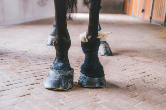 Kentucky Therapeutic wool 150g