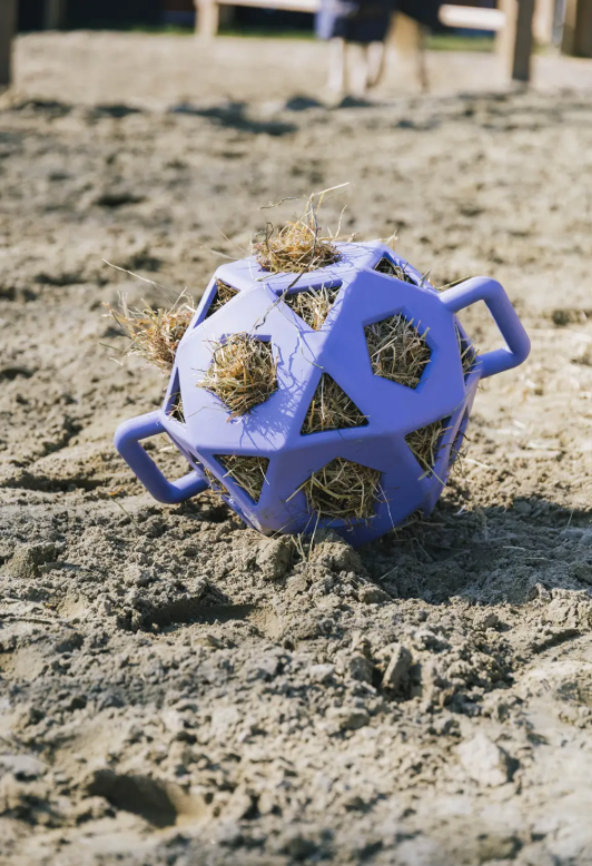 Kentucky Relax horse play & hay ball