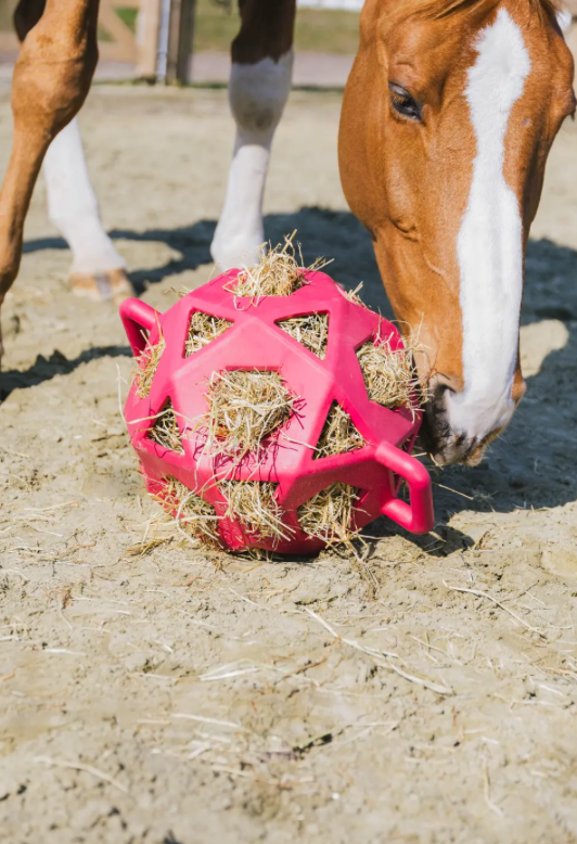 Kentucky Relax horse play & hay ball