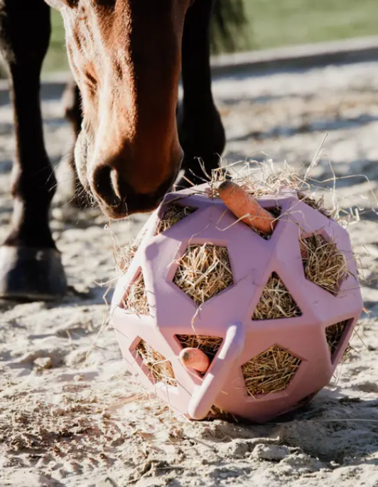 Kentucky Relax horse play & hay ball