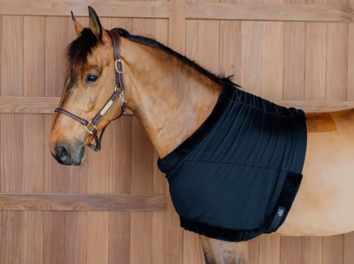 Kentucky Chest Protection