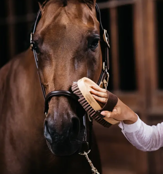 Kentucky Overall brush soft