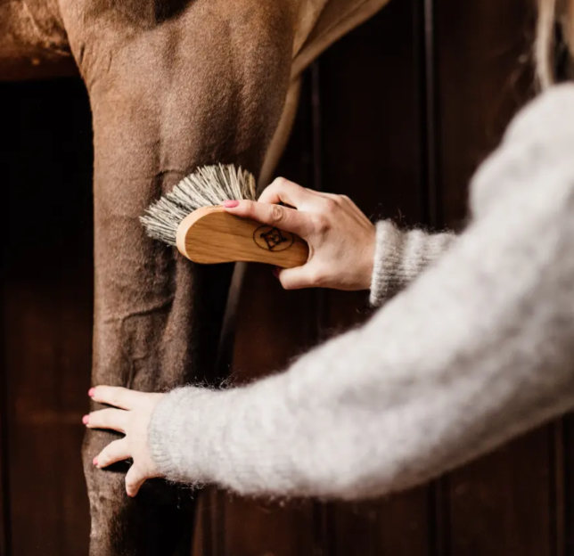 Kentucky Middle Hard Brush