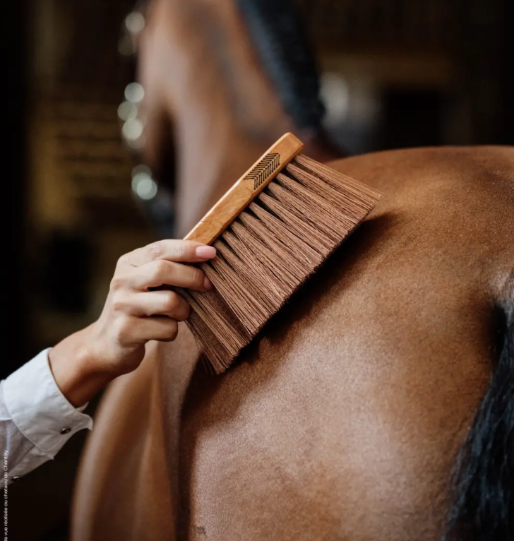 Kentucky Middle Brush Medium