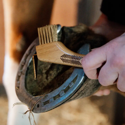 Kentucky Hoof Pick with Metal Bristles