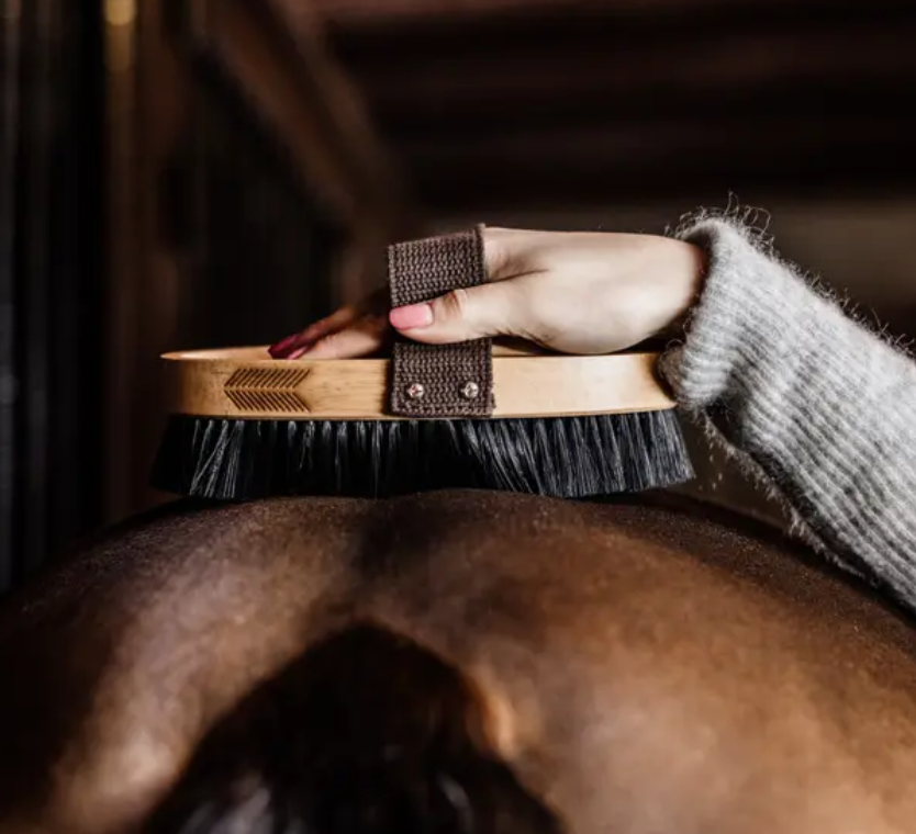 Kentucky Overall Brush Hard