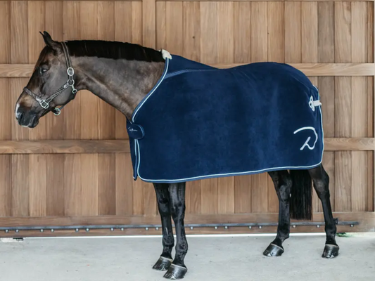 Dy'on Heavy Fleece Rug